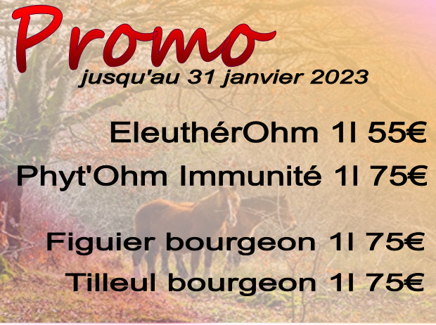 Promo automne 2022