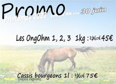 RePromo printemps 2023