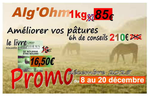 promo decembre 2025
