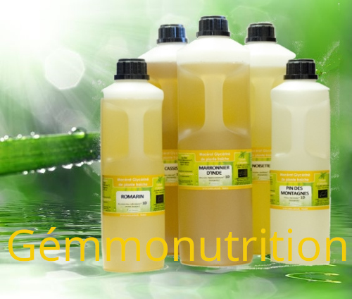 Gemmonutrition